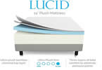 lucid plush 14 inch