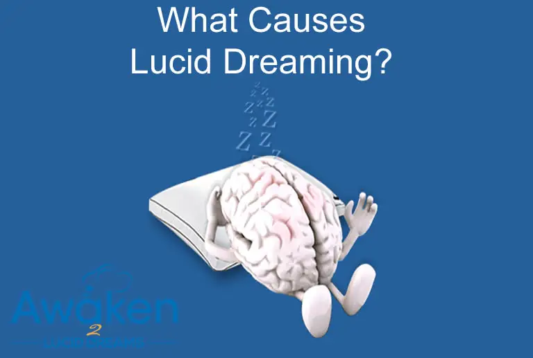 Causes for lucid dreaming - the sleeping brain