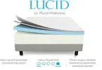 lucid plush 14 inch