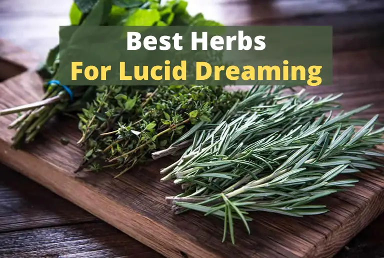 Best herbs for lucid dreaming